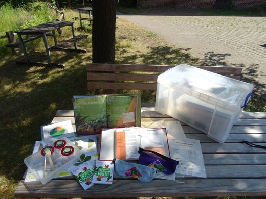 Unterrichtsbox Wald mit verschiedenen Materialien